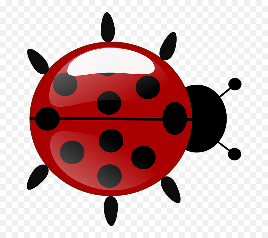 Cute Ladybug Clipart 13 Buy Clip Art - Joaninha Da Ladybug Archeological Museum Png,Ladybug Icon Leaf