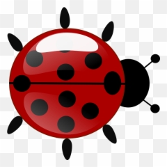 Cute Ladybug Clipart 13 Buy Art - Joaninha Da Archeological Museum png