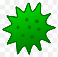 Algae Graphic - Algae Png,Algae Png