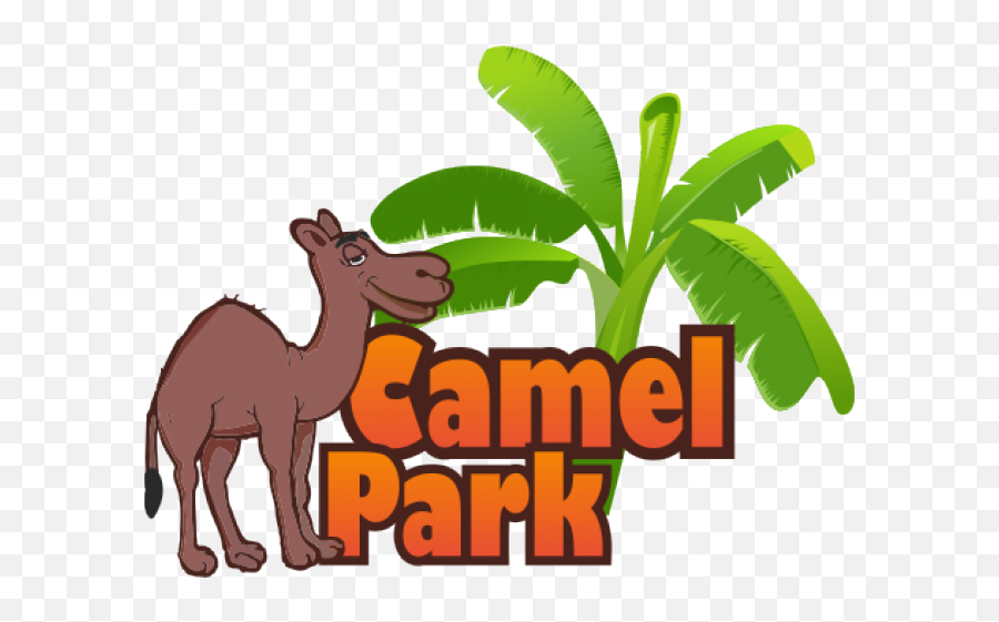 Camels Clipart Camel Ride - Camel Park Tenerife Logo Camel Park Tenerife Logo Png,Camel Logo