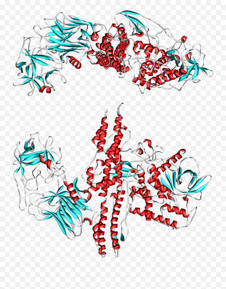 Botulinum Toxin - Wikipedia Botulinum Png,Toxin Icon