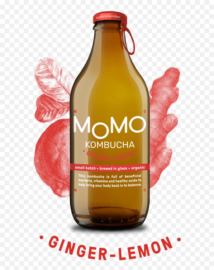 Our Products U2014 Momo Kombucha - Momo Kombucha Png,Momo Png