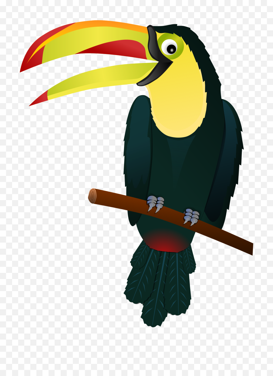 Download Free Png Toucan - Tropical Bird Clipart,Tucan Png