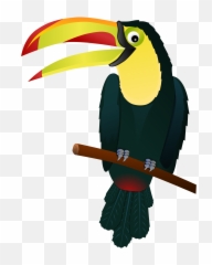 Download Free Png Toucan - Tropical Bird Clipart,Tucan Png
