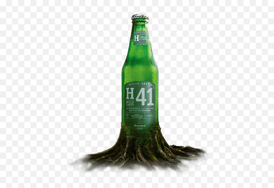 Discover H41 Wild Lager By Heineken - Heineken H41 Beer Bottle Png,Heineken Png