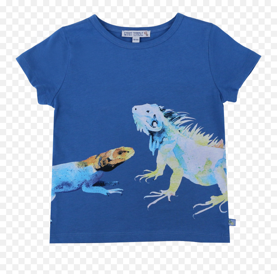 Enfant Terrible Iguana T - Shirt Png,Iguana Png