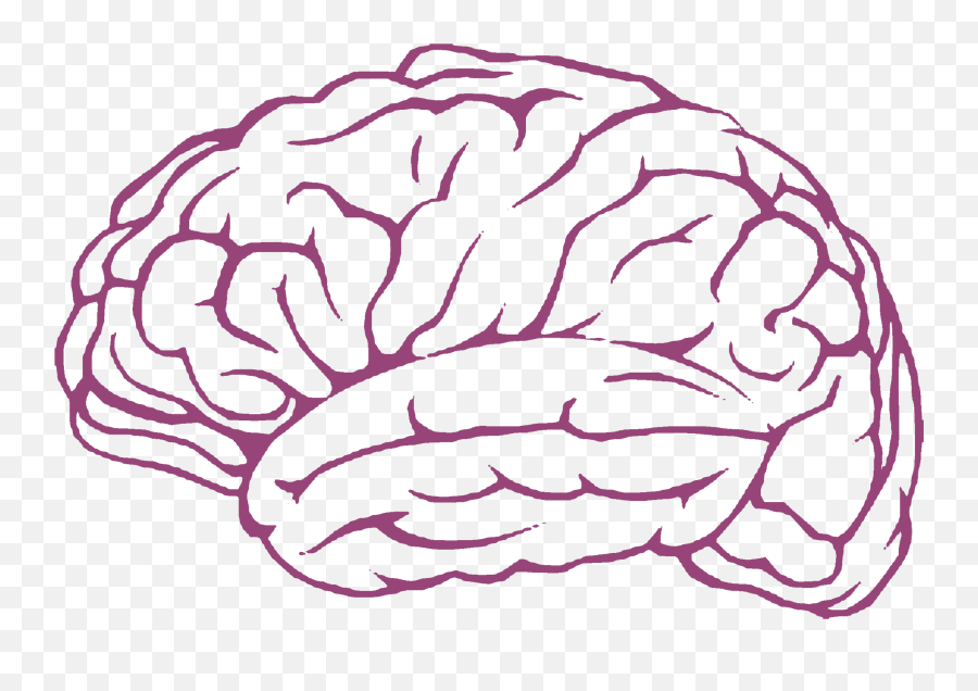 Free Brain Clipart Mind Pictures - Transparent Brain Outline Png,Brain Clipart Transparent