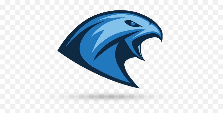 Tychy Falcons - Tychy Falcons Logo Png,Falcons Logo Png