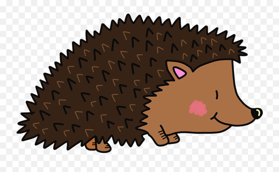 Hedgehog Autumn Cute Animals - Whatcom Mountain Bike Coalition Png,Hedgehog Transparent Background