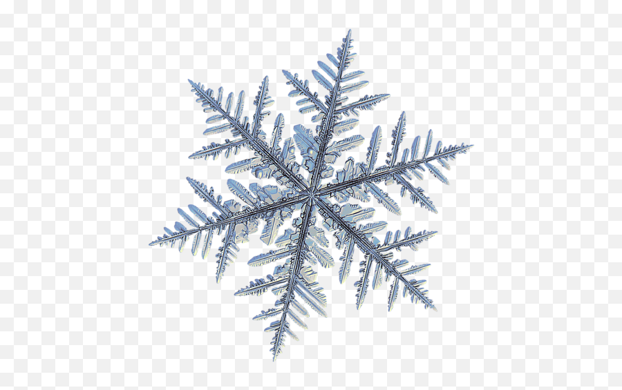 Real Snowflake - Silverware Black Spiral Notebook Two Snowflakes Png,Snowflake Transparent