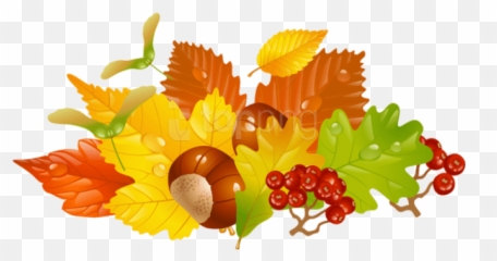 Download Free Png Transparent Fall Leaves And - Clipart