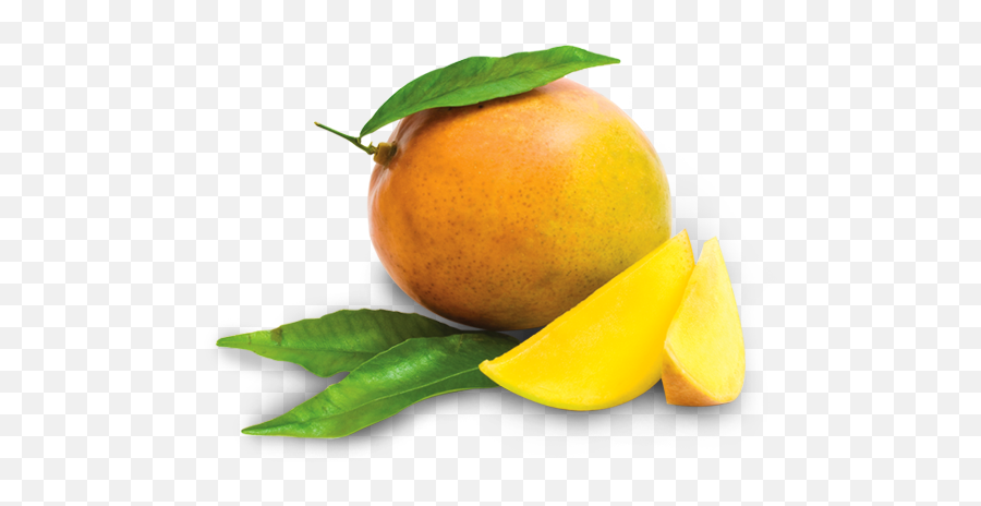Mango Fruit Png Clipart Free Download - Free Mango Lichi,Mango Png