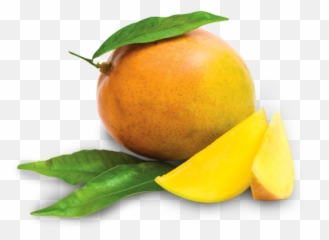 Mango Fruit Png Clipart Free Download - Free Mango Lichi,Mango Png