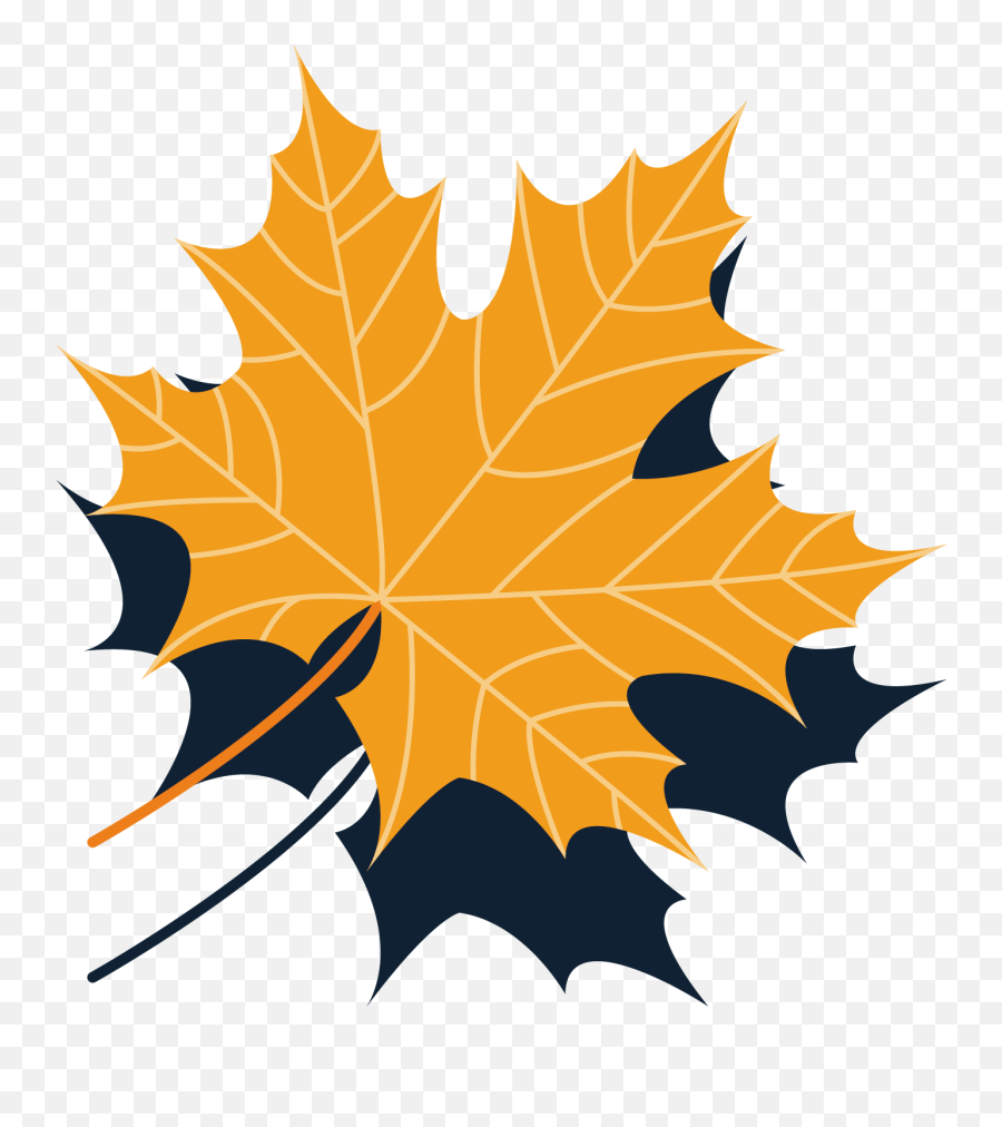 Maple Leaf Autumn - Autumn Leaves Collection Vector Material Maple Png,Thanksgiving Leaves Png