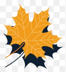 Maple Leaf Autumn - Autumn Leaves Collection Vector Material Maple Png,Thanksgiving Leaves Png