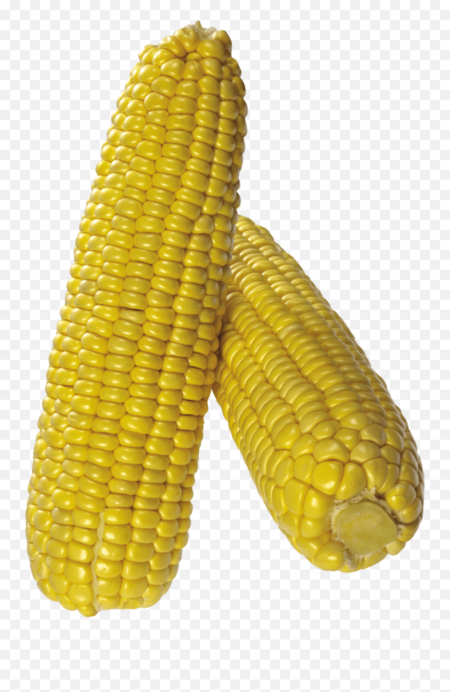 Download Corn Png Image Hq - Cartoon Corn With Background,Corn Cob Png -  free transparent png images 