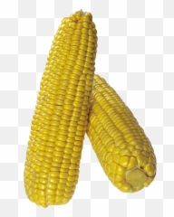 Download Corn Png Image Hq - Cartoon With Background