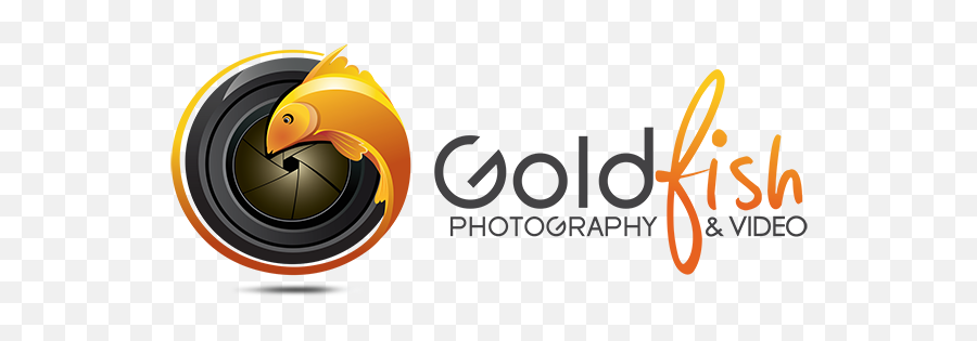 Dubai Photo Studio Goldfish Photography U0026 Videography - Goldfish Dubai Logo Png,Photography Logo