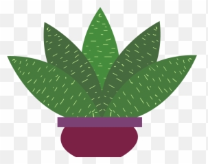 Free Png Plant - Konfest Illustration,Aloe Png