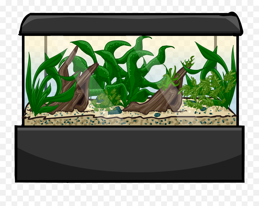 Club Penguin Rewritten Wiki - Penguin In A Fish Tank Png,Fish Tank Png