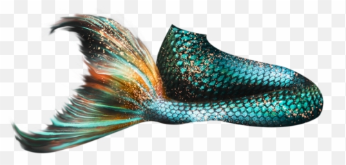 Mermaid Tail 06 Png - Mermaid Tail Png,Mermaid Png