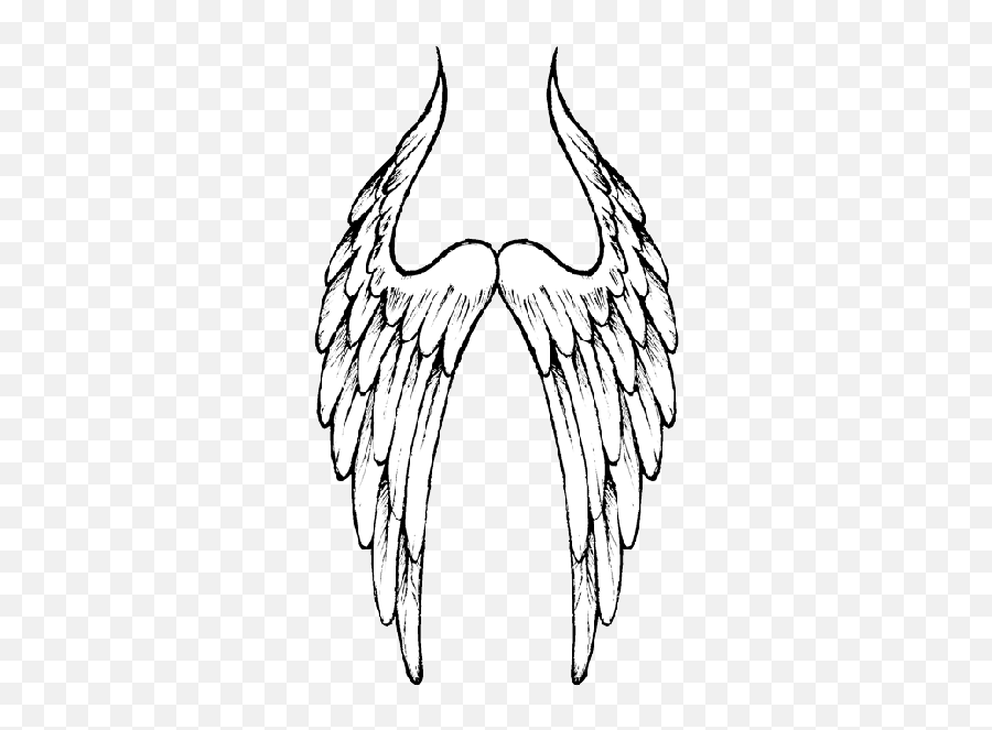 Black Angel Wings - 6662 Transparentpng Sketch,Black Angel Wings Png