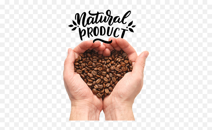 Bean - Tocupcoffeebeansforbeantocupmachinesloving Coffee Bean Hand Png,Coffee Bean Png