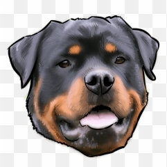 Rottweiler Kill Man - Rottweiler Temperament Png,Rottweiler Png