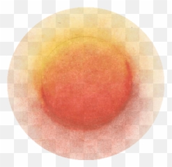 Download Hd 03 Círculo Rojo - Fruit Transparent Png Image Circle,Circulo Rojo Png
