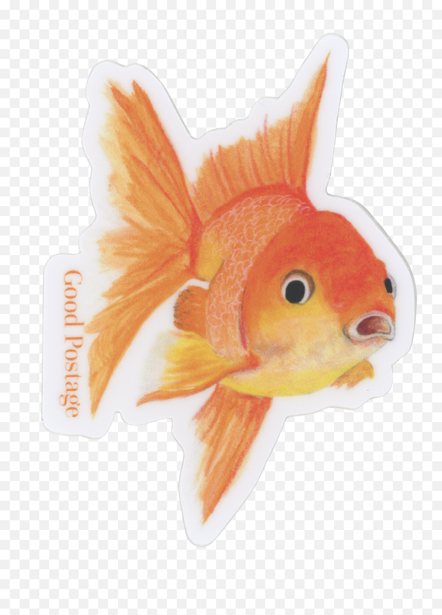 Goldfish Sticker - Goldfish Png,Goldfish Png