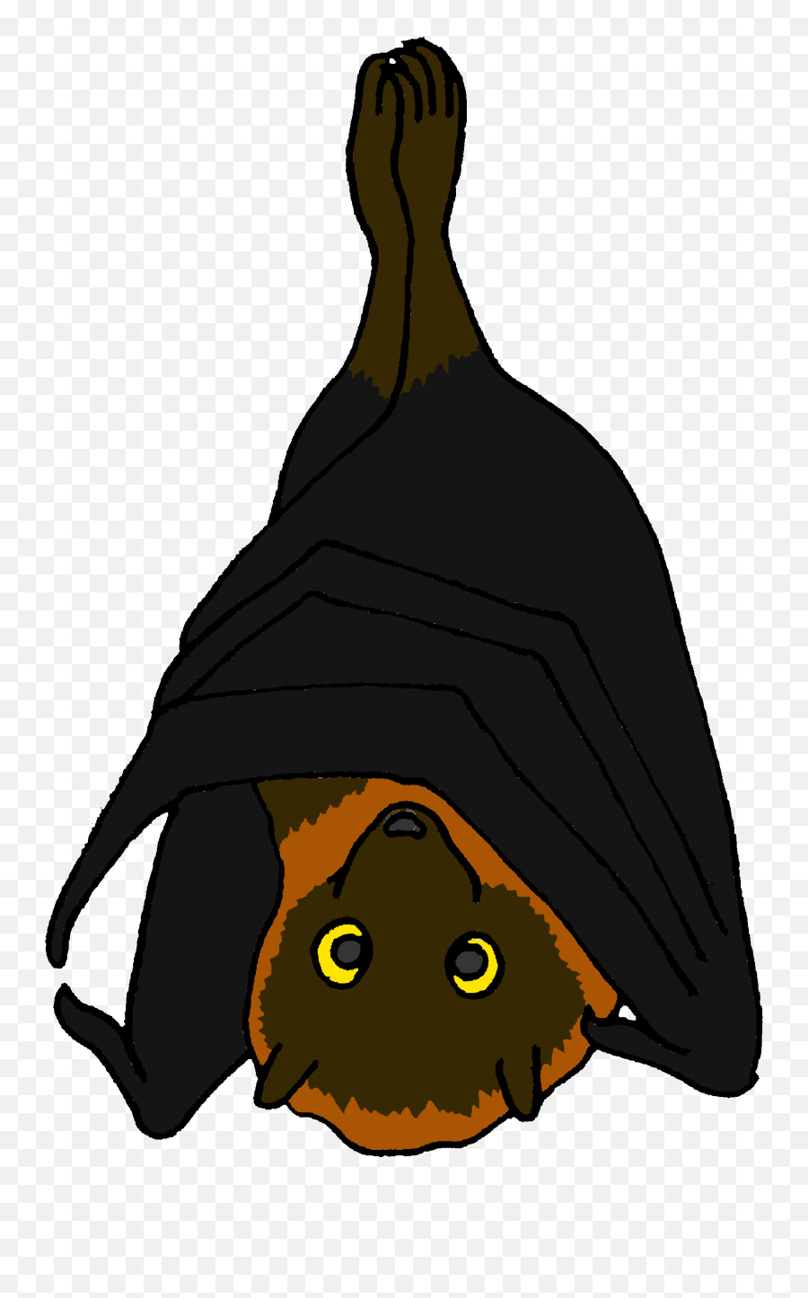 Download Hd Cartoon Rodrigues Fruit Bat - Fruit Bat Clipart Png,Bats Transparent