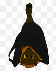 Download Hd Cartoon Rodrigues Fruit Bat - Clipart png
