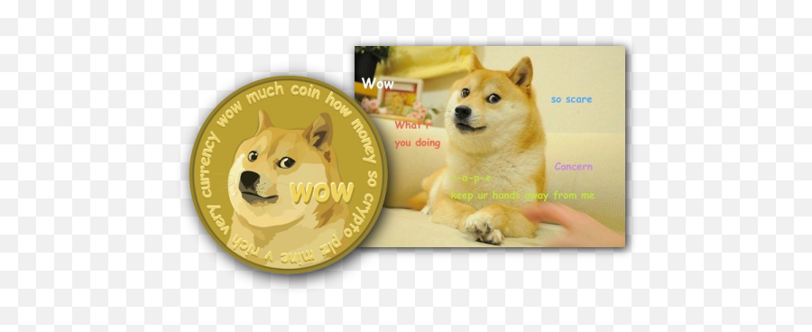 With The Picture That Started Meme - Dank Memes Png,Dogecoin Png