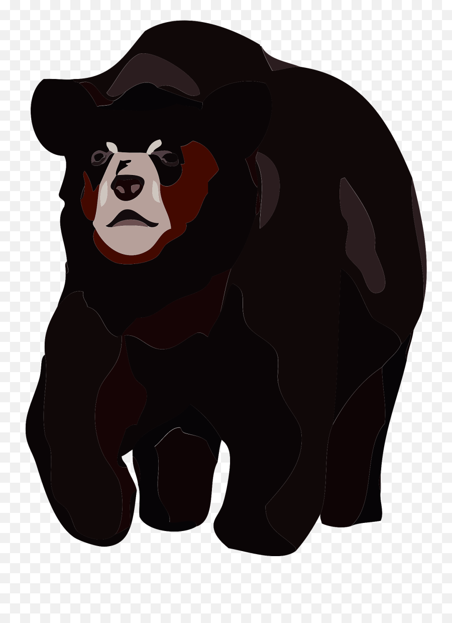 American Black Bear Clipart Free Download Transparent Png - Animal Figure,Black Bear Png