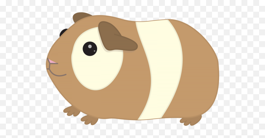 Guinea Pig Clipart Png Transparent Images U2013 Free - Guinea Pig Clipart Transparent Background,Guinea Pig Png