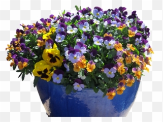 Desert Pots Archives The Potted - Lovely png