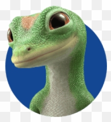 Geico Gecko - Home And Auto Geico Lizard Png,Geico Gecko Png