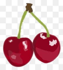 Fruit Illustrations Ii - Superfood Png,Superfruit Logo