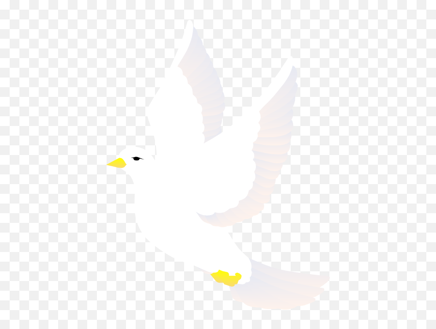 Flying Dove Svg Clip Arts 462 X 598 Px - Clipart White Bird Png,Flying Dove Png