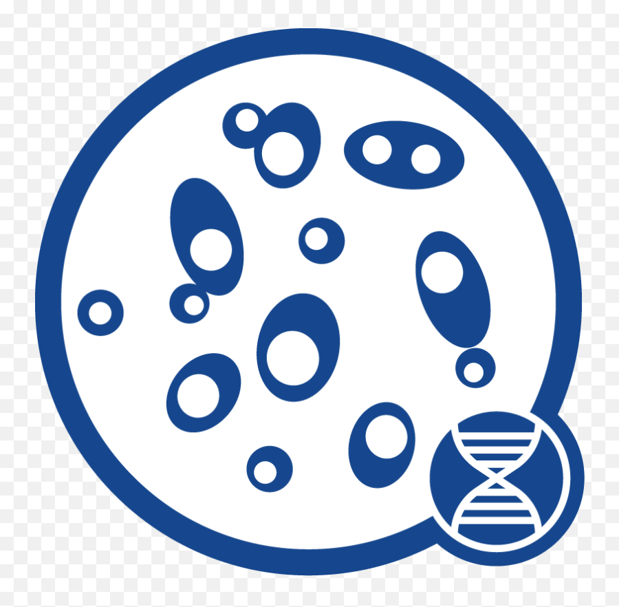 Yeast Dna Icon - Yeast Dna Extraction Clipart Png Download Dot,Dna Helix Icon