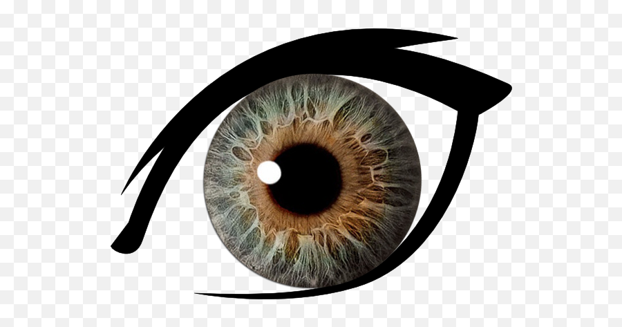 Eyes Png Image Without Background - Brown Eyes Transparent Background,Cartoon Eye Png