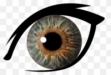 Eyes Png Image Without Background - Brown Transparent
