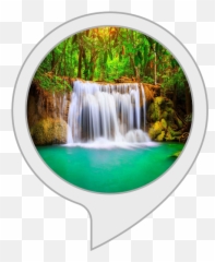 Amazoncom Relaxing Music Sounds Of Forest And Zen - Background Foto Booth 3d png