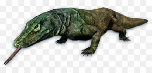 Komodo Dragon Png Transparent Images 14 - Far Cry 3 Komodo Dragon,Komodo Dragon Png
