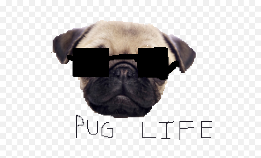 Download Pug Life Png Clipart - Dan Tdm Dog,Pug Transparent Background