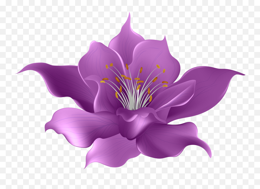 Purple Flower Transparent Clip Art Png Clipart Background