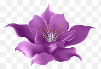 Purple Flower Transparent Clip Art Png