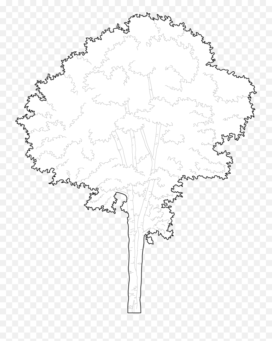 Trees Dwg Cad Blocks Free Download Pimpmydrawing - Trees Iso Vector Png,Tree Icon Vector Free