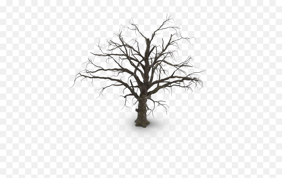Spooky Tree Png Hd Mart - Dry Bush,Tree Branches Png