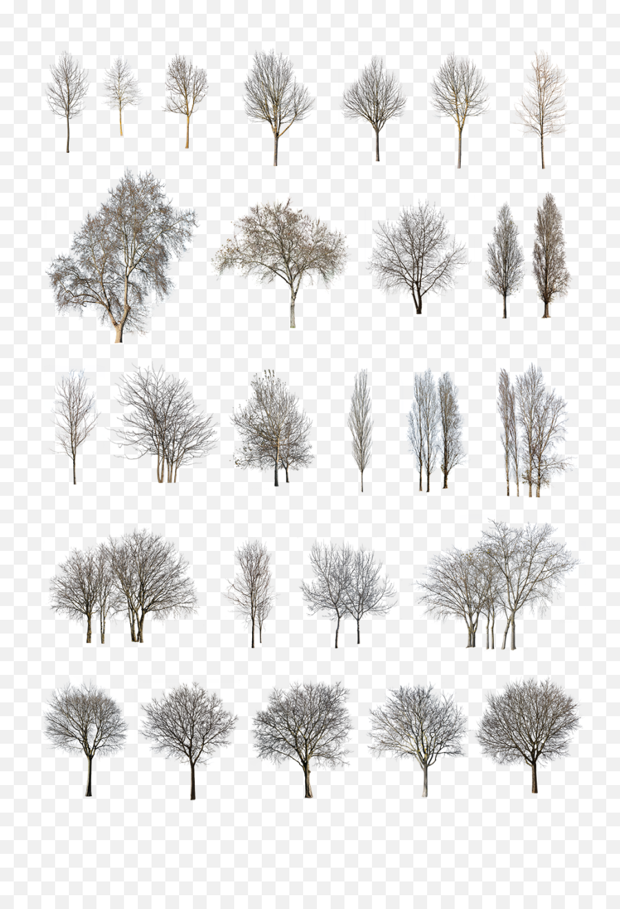 27 Winter Trees Pack - Winter Trees Png Pack,Png Tree.com
